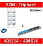 Legrand - LOT - Coffret DRIVIA 52 Modules trphasé+Neutre - 401214+404814