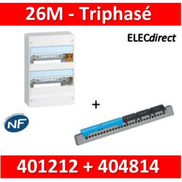 Legrand - LOT - Coffret DRIVIA 26 Modules triphasé + Neutre - 401212+404814