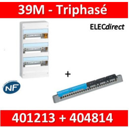 Legrand - LOT  - Coffret DRIVIA 39 Modules triphasé+Neutre  - 401213+404814