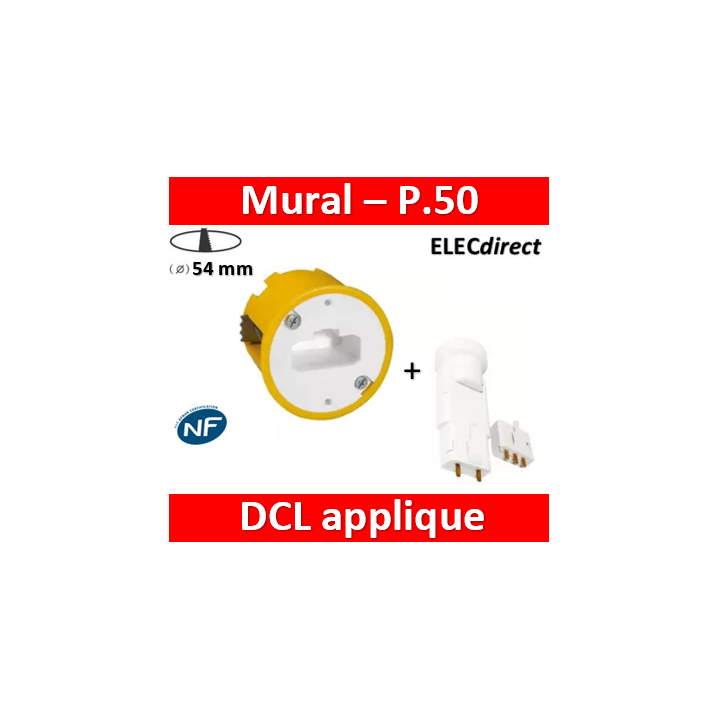 Legrand Batibox - Boîte luminaires pour applique - Prof. 50 + Douille/Fiche SIB - 089305+11127