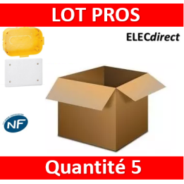 Legrand Batibox - Boîte pour dérivation 230x170x50 - 089375x5