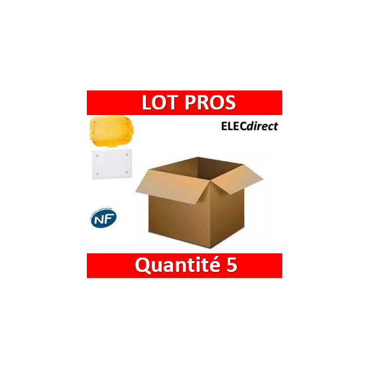 Legrand Batibox - Boîte pour dérivation 230x170x50 - 089375x5