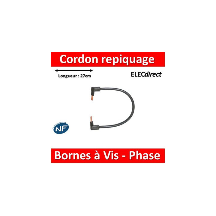Legrand - Cordon de repiquage Phase pour bornes à vis - 10mm2 - 404908