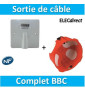 SIB - Sortie de câble 20/32A - à vis dim. 100x100 + Boîte BBC - P11032+38640