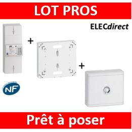 Legrand - Disjoncteur de branchement EDF + platine + habillage + porte - 401051+401191+401185