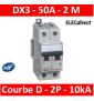 Legrand - Disjoncteur bipolaire DX3  50A - 10kA - courbe D - 408020