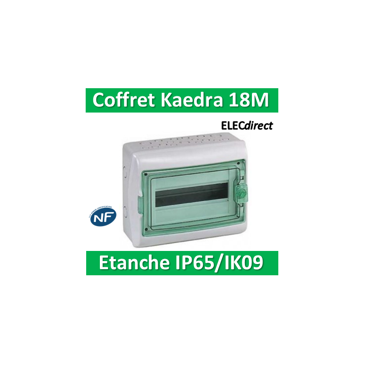 Schneider - Coffret Kaedra 1 rangée 18M - IP65/IK09 - 13963