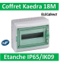 Schneider - Coffret Kaedra 1 rangée 18M - IP65/IK09 - 13963