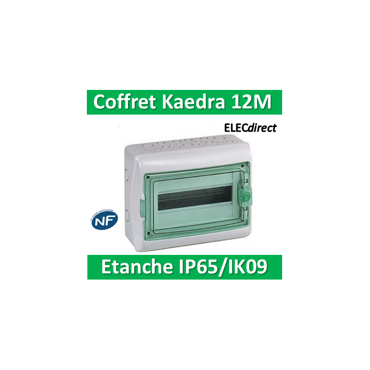 Schneider - Coffret Kaedra 1 rangée 12M - IP65/IK09 - 13962