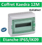 Schneider - Coffret Kaedra 1 rangée 12M - IP65/IK09 - 13962