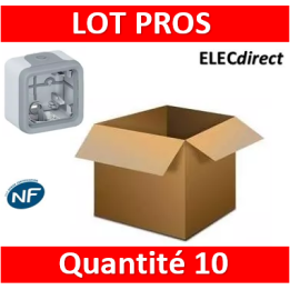 Legrand - Boîtier à embouts Prog Plexo composable - 1 poste - gris - 069651x10
