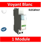Legrand - Voyant Blanc 250V - LED - 412930