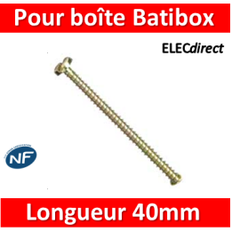 Legrand - Vis longue D63mm L 40 mm Bte de 100 vis- 089748 X 100