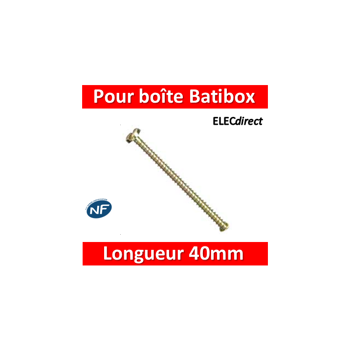 Legrand - Vis longue D63mm L 40 mm Bte de 100 vis- 089748 X 100