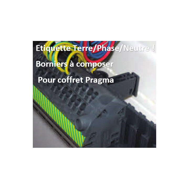 Schneider - Pragma Kit Bornier 4x6mm2 - PRA90047 Lot de 10