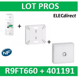 Disjoncteur de branchement EDF 60A instantané + Platine Legrand - 500mA - bipolaire - R9FT660+401191+401185