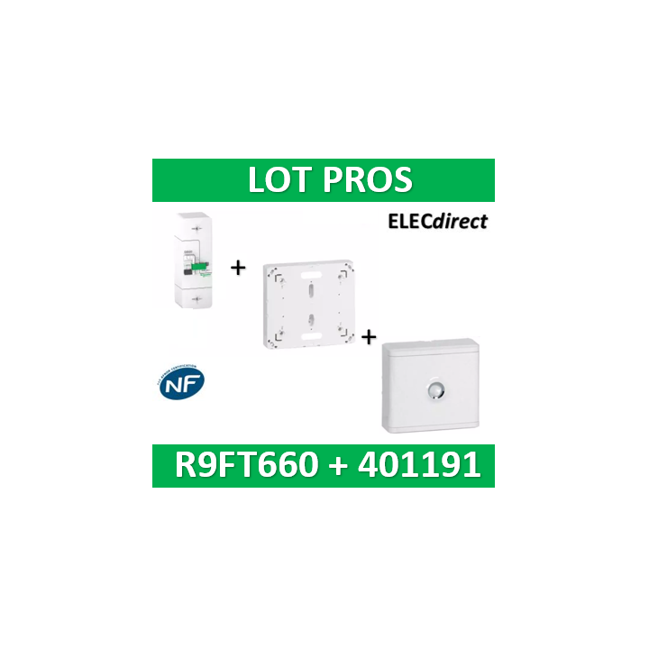 Disjoncteur de branchement EDF 60A instantané + Platine Legrand - 500mA - bipolaire - R9FT660+401191+401185