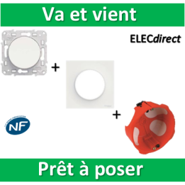 Schneider Odace - Va-et-Vient + plaque + boîte d'encastrement SIB BBC - s520204+s520702+36840