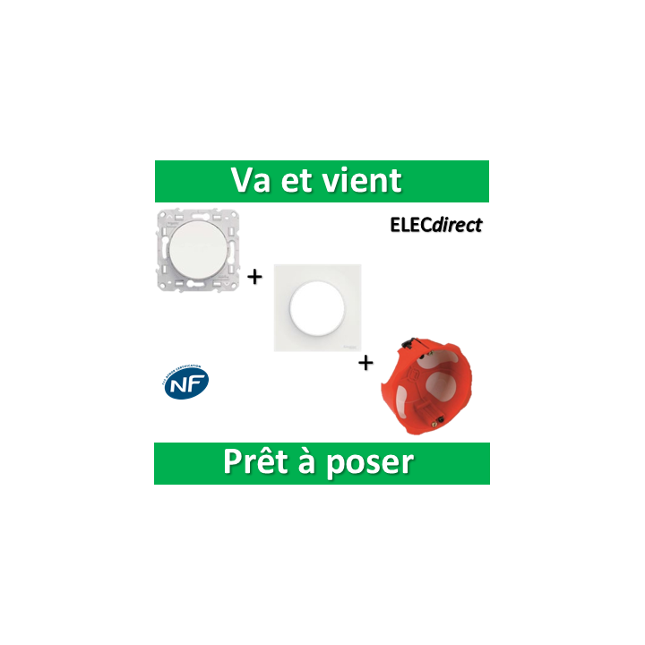 Schneider Odace - Va-et-Vient + plaque + boîte d'encastrement SIB BBC - s520204+s520702+36840