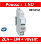 Legrand - Inter à Poussoir 20A double fonction - 250V - 1 NO + voyant vert - 412914