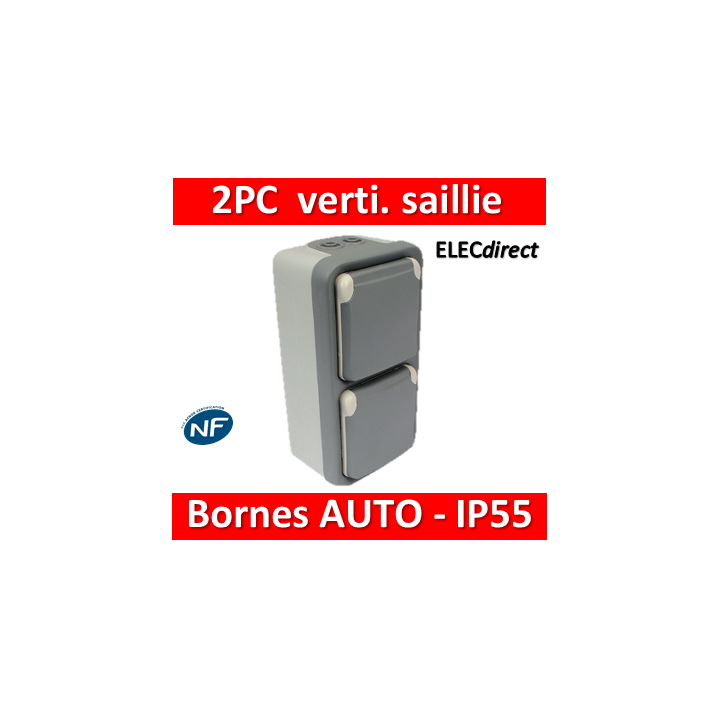 Legrand Plexo - Double prise de courant 2P+T 16A 230V - vertical - IP55/IK07 - 069661+069563