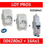 Legrand - LOT - PC 2P+T 16A 220V  Modulaire x 2 + disjoncteur 16A AUTO - 004280x2 + 406783x1