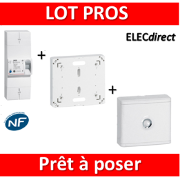 Legrand - Disjoncteur de branchement EDF + platine + habillage + porte - 401000+401191+401185