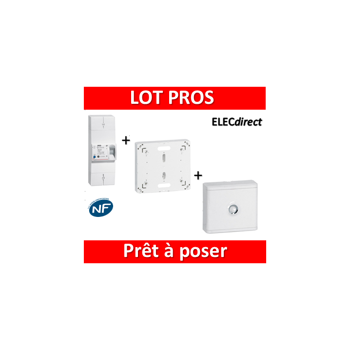 Legrand - Disjoncteur de branchement EDF + platine + habillage + porte - 401000+401191+401185