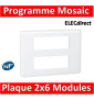 Legrand Mosaic - Plaque 2 x 6 modules - Blanc - 078836