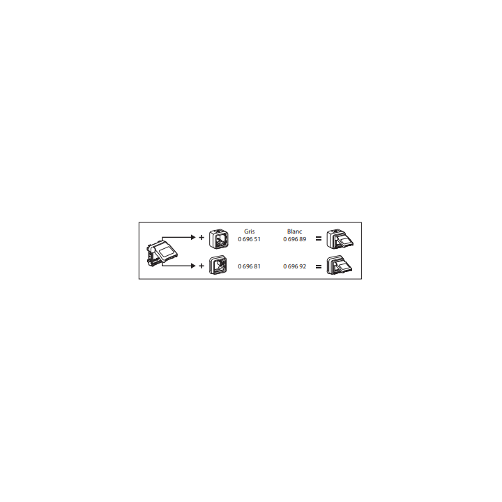 Legrand Plexo -Adaptateur étanche opaque Plexo compo IP55 pour Mosaic 2 modules - gris et blanc - 069580
