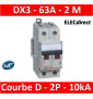 Legrand - Disjoncteur Bipolaire DX3 63A - 10kA - courbe D - 408021