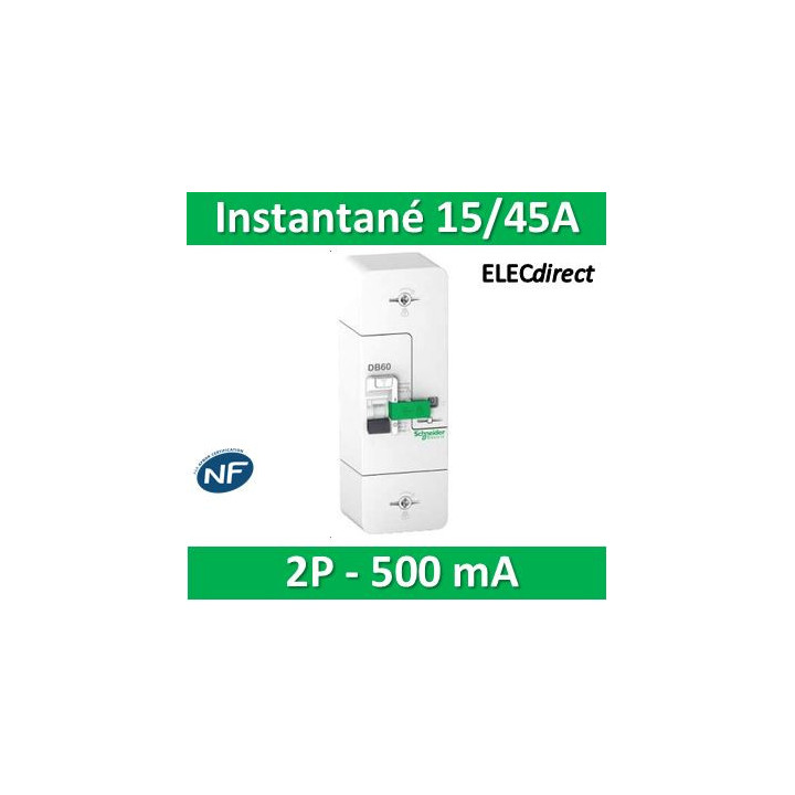 Schneider - Disjoncteur de branchement EDF 15/30/45A instantané - 500mA - bipolaire - Réf.: R9FT645