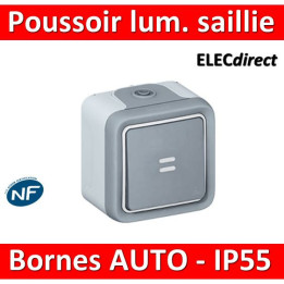 Legrand Plexo - Bouton poussoir lumineux 10A - 230V - IP55/IK07 - 069722