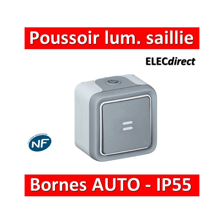 Legrand Plexo - Bouton poussoir lumineux 10A - 230V - IP55/IK07 - 069722