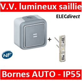 Legrand Plexo - Va-et-Vient à voyant lumineux 10A - 230V - IP55/IK07 - 069713