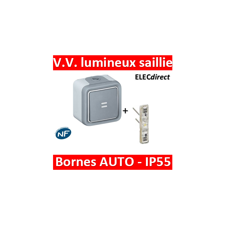 Legrand Plexo - Va-et-Vient à voyant lumineux 10A - 230V - IP55/IK07 - 069713
