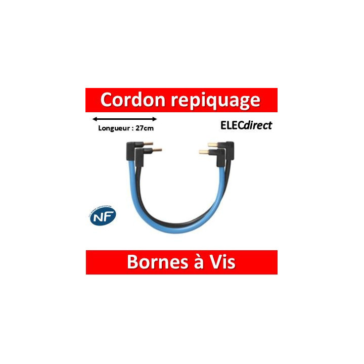 Legrand - Jeu de Cordon de repiquage Ph/N pour bornes à vis - 404903