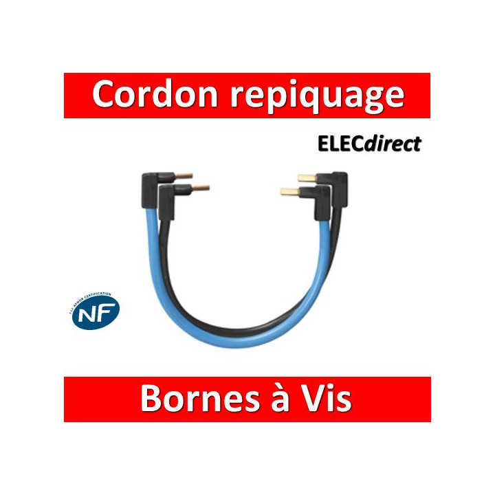 Legrand - Jeu de Cordon de repiquage Ph/N pour bornes à vis - 404903