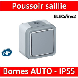 Legrand Plexo - Bouton poussoir 10A - 230V - IP55/IK07  - 069720