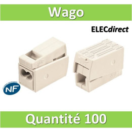 WAGO - Boîte de 100 Bornes auto pour luminaires 2 conducteurs fils R / 1 conducteur fils R - S (0.5 à 2.5 mm2) WAG 224-112