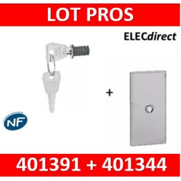 Legrand - Porte Drivia transparente 52 modules IP40 - IK07 pour coffret 401214 + serrure - 401344+401391