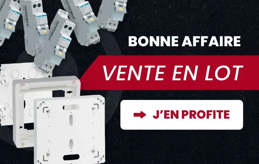Vente en lot
